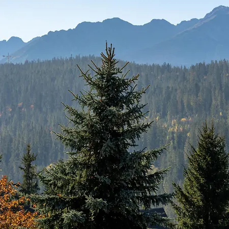 Widokowka -domki Z Balia Na Wylacznosc Chalet
