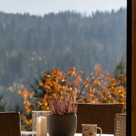 Chalet Widokowka -domki Z Balia Na Wylacznosc Bukowina Tatrzanska
